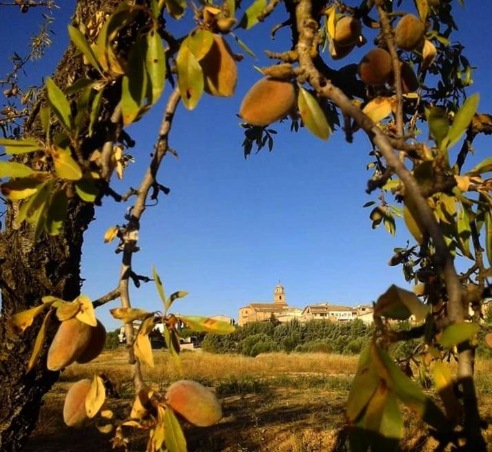 Hostal Can Barrina Arnés Dış mekan fotoğraf